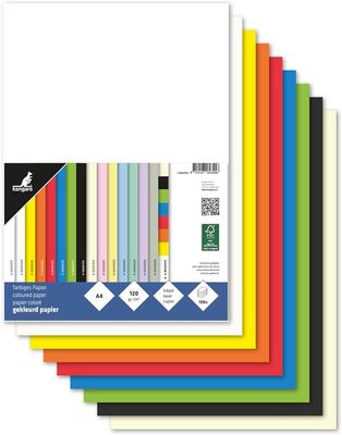 Papier Kangaro A4 120gr Assorti Pak 100 Vel (10x10)