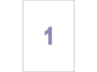 Etiket Kangaro ILK 210x297mm Doos 25 Vel 1 Etiket Per Vel