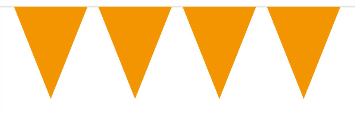 Oranje Mini Vlaggenlijn - 3 meter
