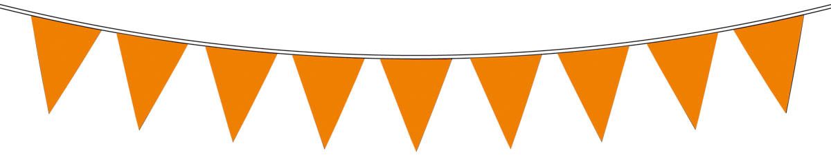 Oranje Vlaggenlijn - 10 meter