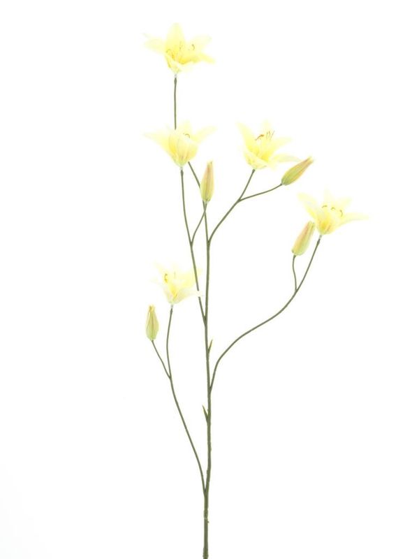 Day lily spray yellow 106cm