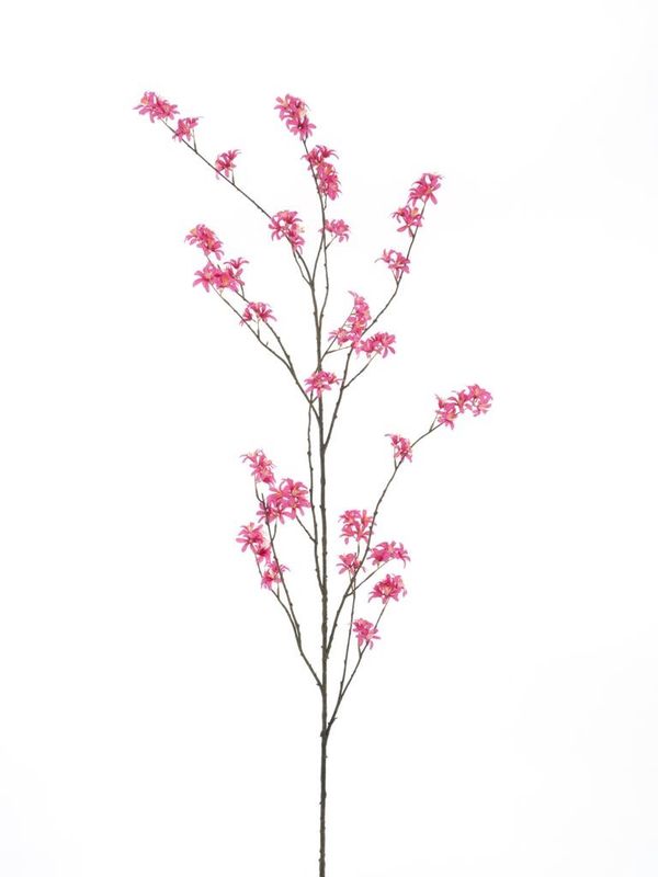 Wild peach blossom branch Blois red 165cm