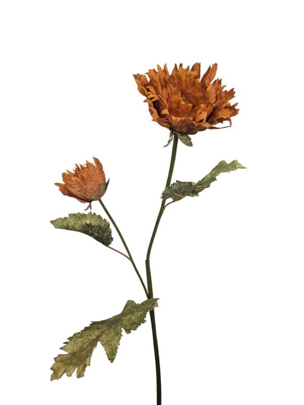 Poppy's, orange, 76cm