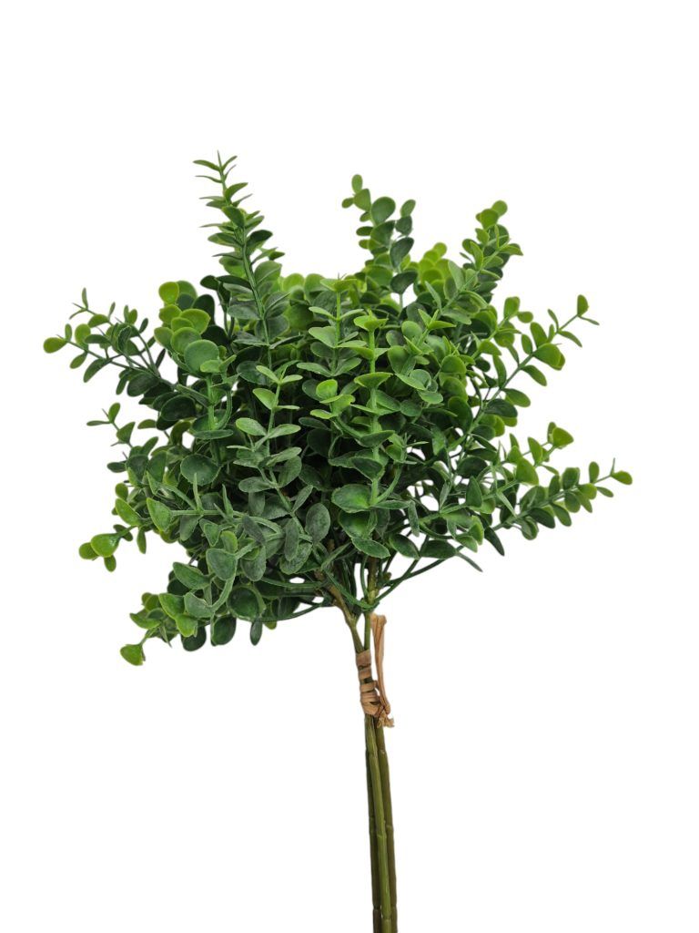 Euca bush, Green, 25cm
