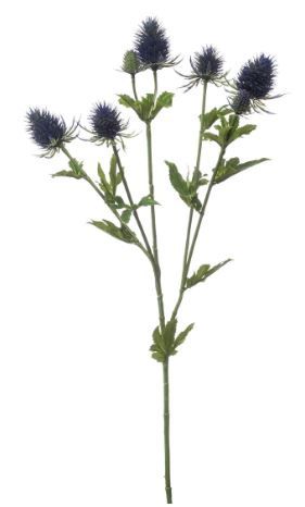 Eryngium spray blue 70cm
