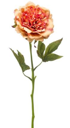 Peony spray RT orange 56cm