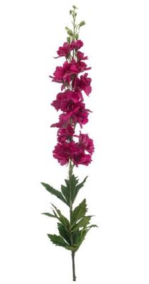 Delphinium spray RT fuchsia 90cm