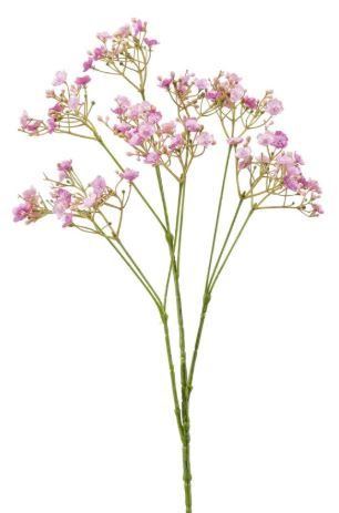 Gypsophila spray lilac 68cm