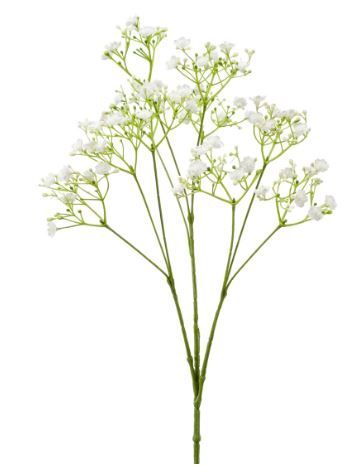 Gypsophila spray white 68cm