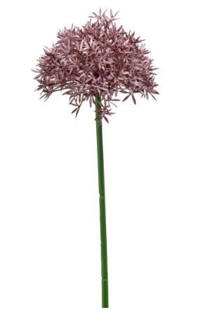Allium spray 62cm purple