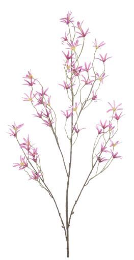 Tweedia spray purple 120cm