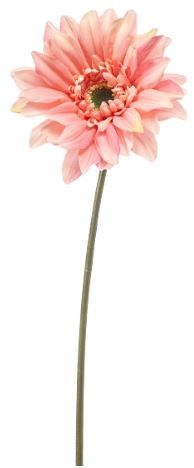 Gerbera spray REC pink 63cm