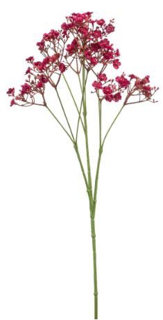 Gypsophilia spray fuchsia 68cm