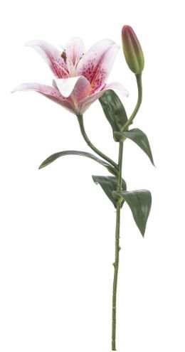 Lily spray lt pink 56cm