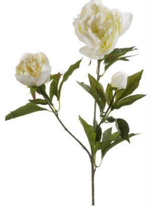 Peony spray x3 70cm cream