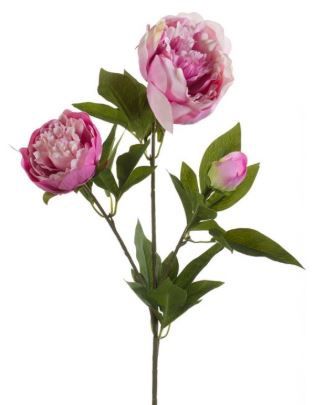 Peony spray x3 70cm lt purple