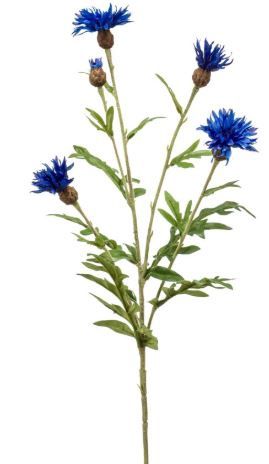 Centaurea spray blue 60cm