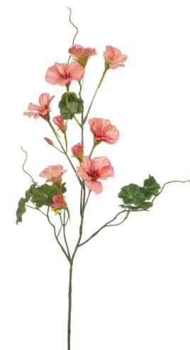 Nasturtium spray peach 78cm