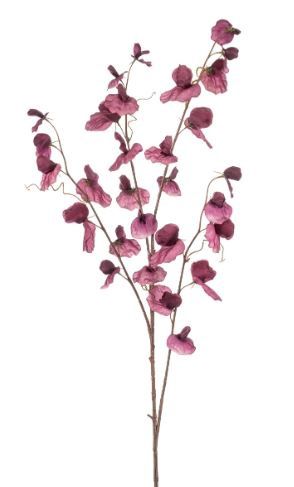 Lathyrus spray x4 purple 110cm