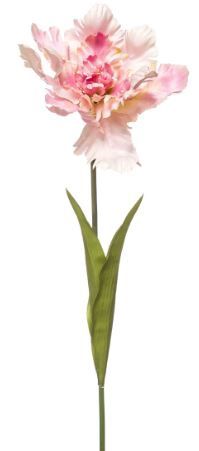 Tulip parrot spray lt pink 68cm