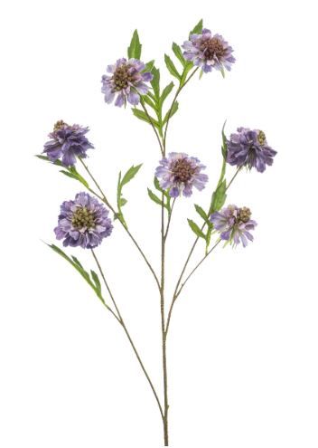 Scabiosa spray purple 113cm