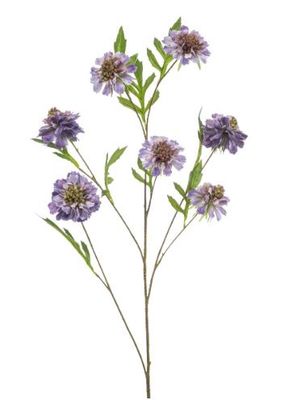 Scabiosa spray purple 113cm