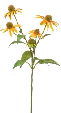 Rudbeckia spray yellow 73cm