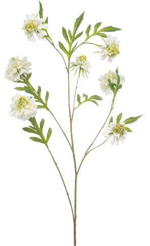 Scabiosa spray white 113cm