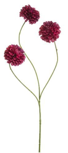 Dahlia pompom mini spray x3 beauty 68cm