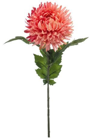 Mum spider spray coral 57cm