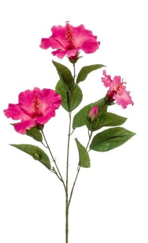 Hibiscus spray beauty 82cm