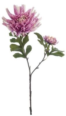 Dahlia spray purple 75cm