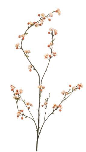 Euonymus spray cream/orange 115cm