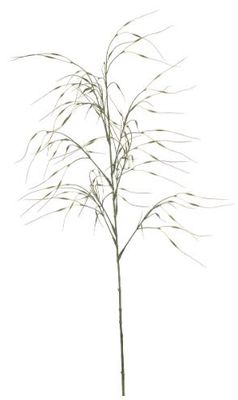 Stipa spray green 110cm
