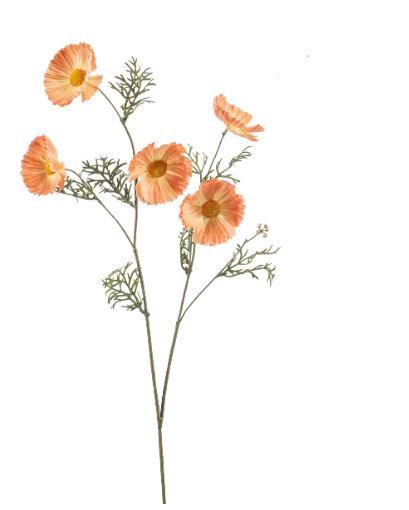 Cosmos spray yellow/orange 70cm