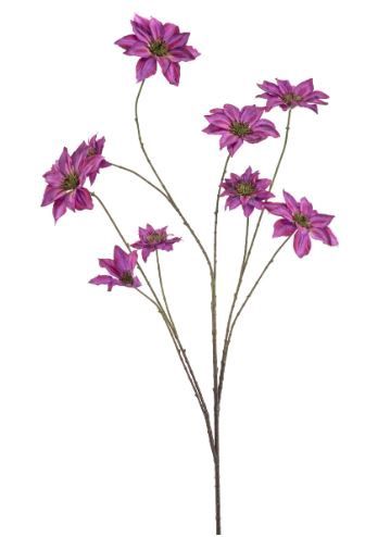 Clematis spray fuchsia 125cm