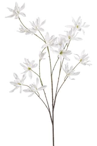 Magnolia spray white 122cm