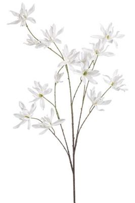 Magnolia spray white 122cm