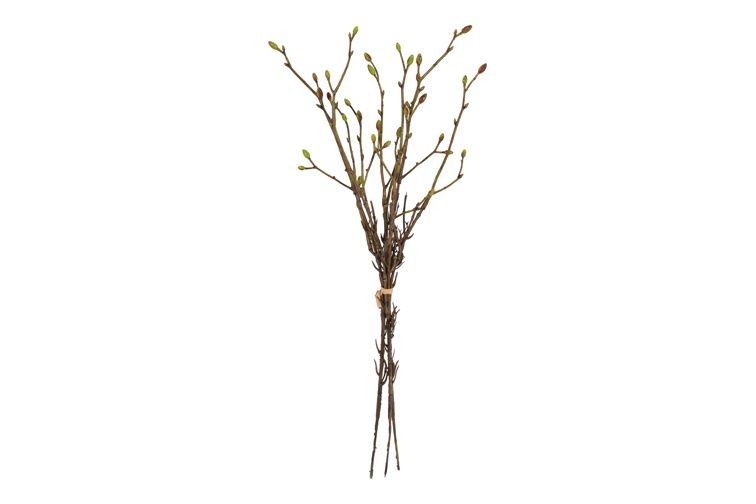 Kunst bundel Tilia 3x groen-L42B15H5CM