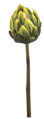 Artichoke spray RT green 58cm