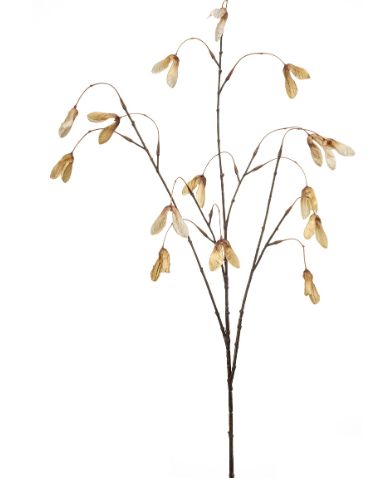 Maple seed spray beige 100cm