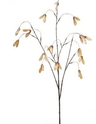 Maple seed spray beige 100cm