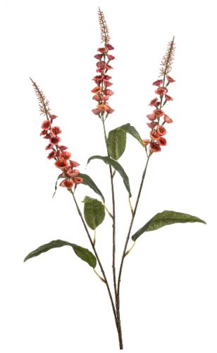 Veronica spray pink 97cm