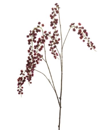 Lepidium spray burgundy 110cm
