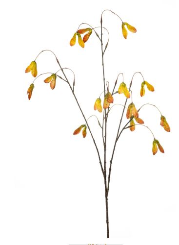 Maple seed spray orange 100cm