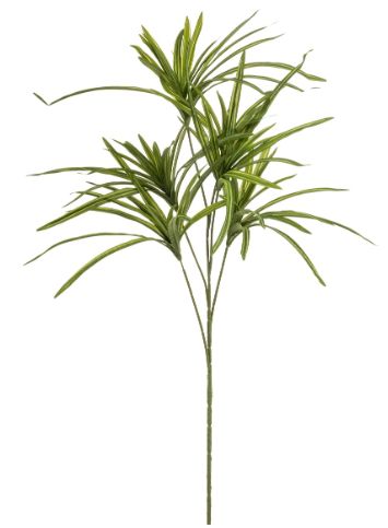 Dracaena spray green 90cm