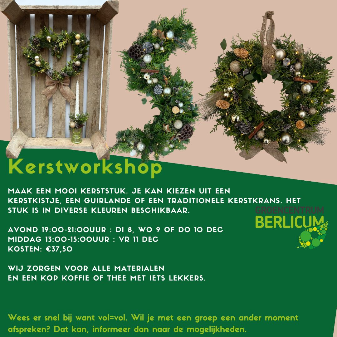 Kerstworkshop 2026