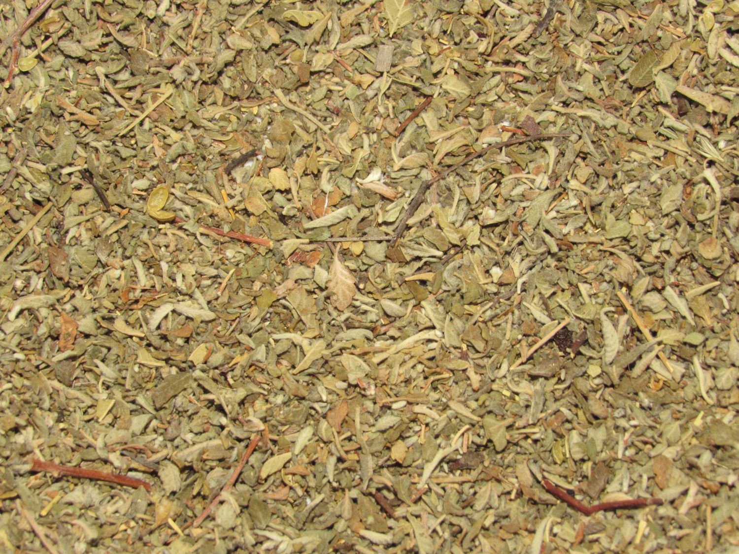 Damiana Herb