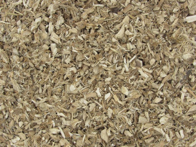 Marshmallow Root