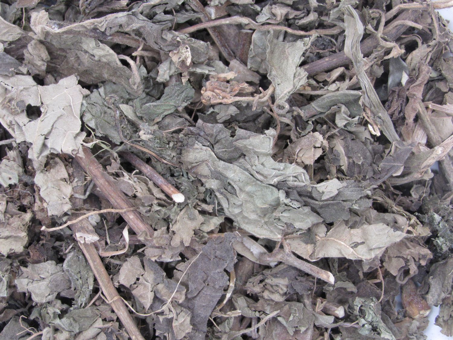 Patchouli Herb